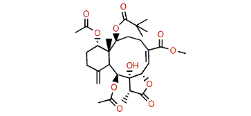 Frajunolide P